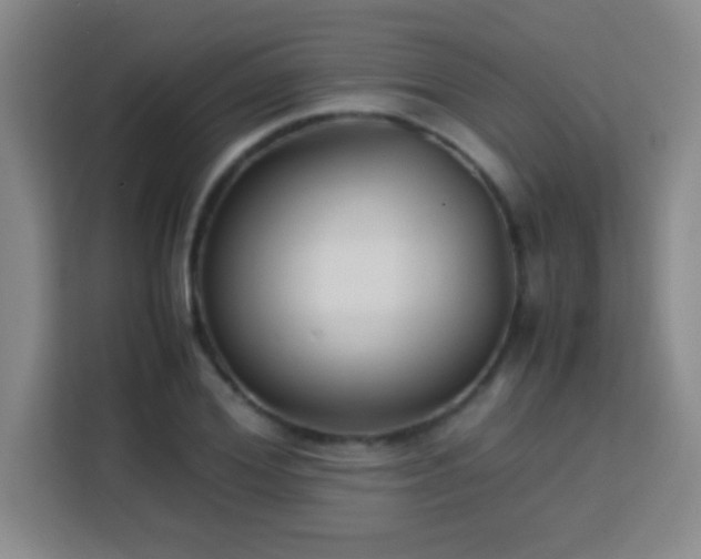 X0000113750980200909301028