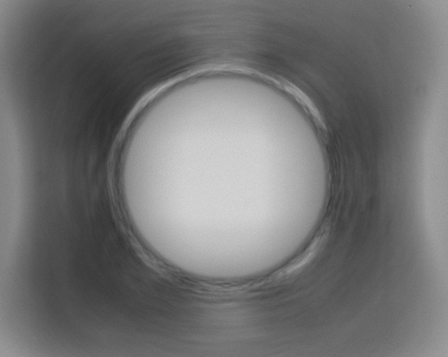 X0000113750981200909301028