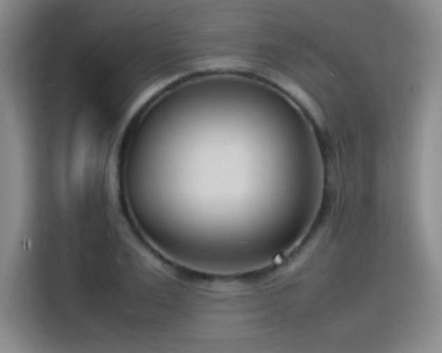 X0000113750983200909301028