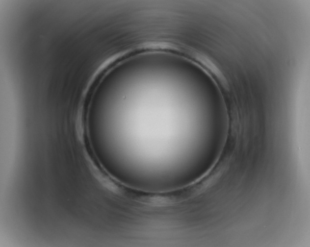 X0000113750984200909301028