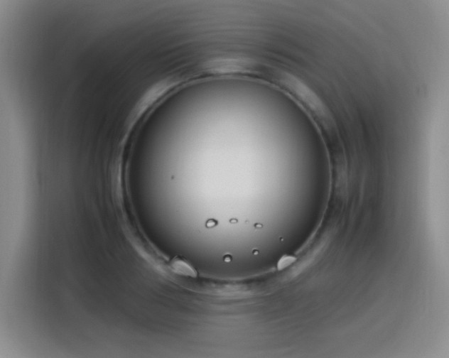 X0000113750986200909301028