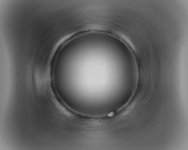 X0000113750987200909301028