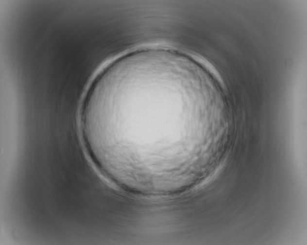 X0000113750989200909301028