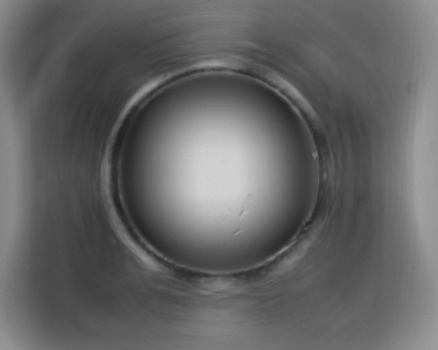 X0000113750991200909301028