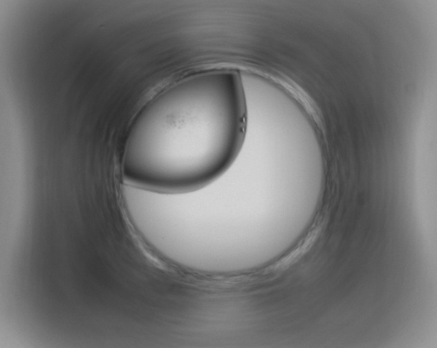 X0000113750993200909301028