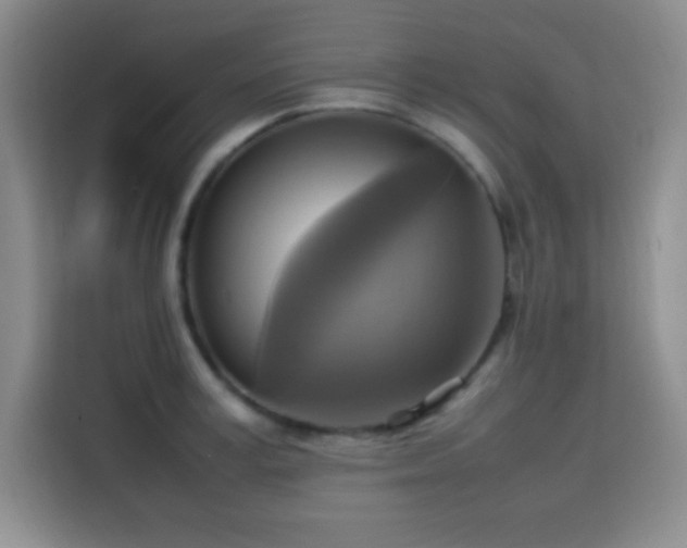 X0000113750995200909301028