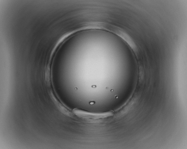 X0000113750996200909301028