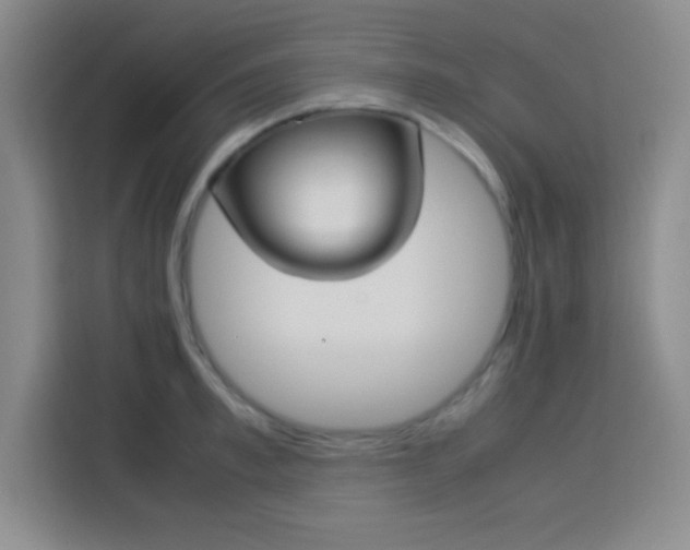 X0000113750997200909301028