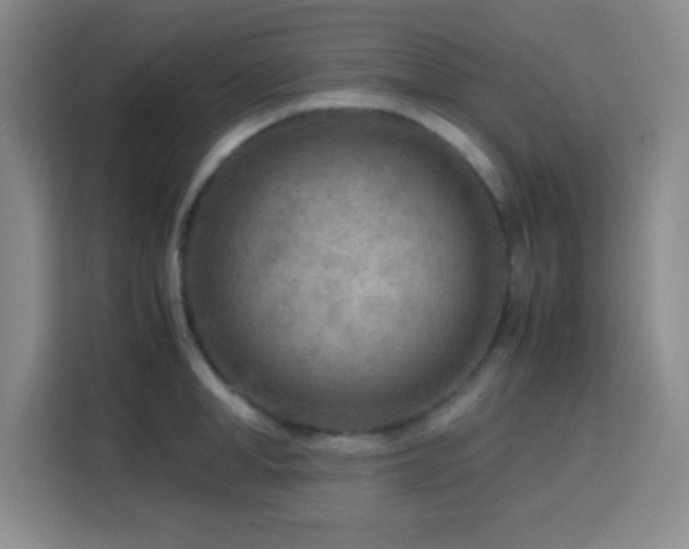 X0000113750998200909301028