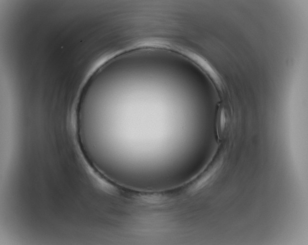X0000113750999200909301028