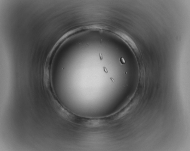 X0000113751000200909301028