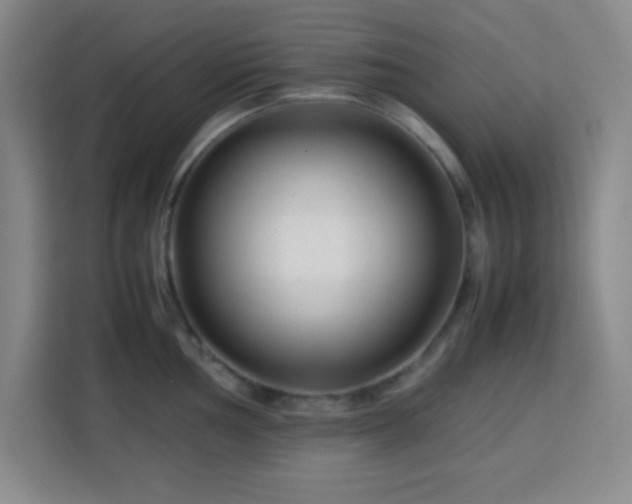 X0000113751002200909301028