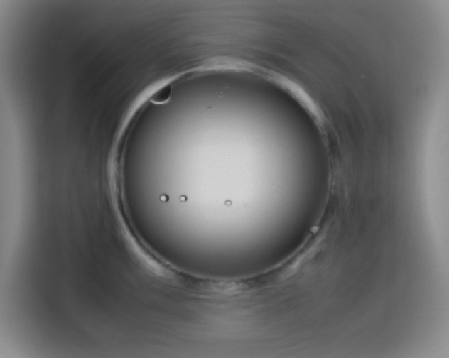 X0000113751003200909301028