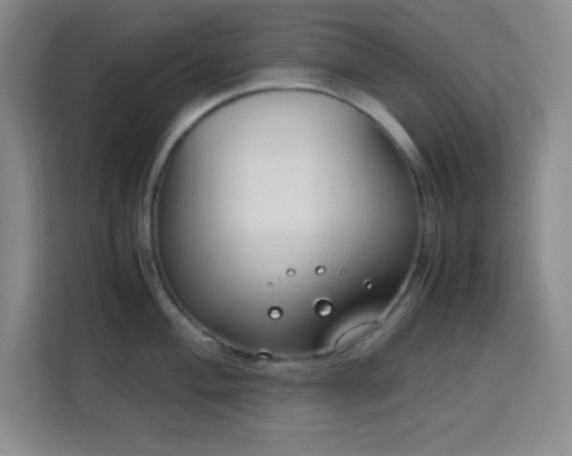 X0000113751004200909301028