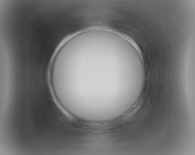 X0000113751005200909301028