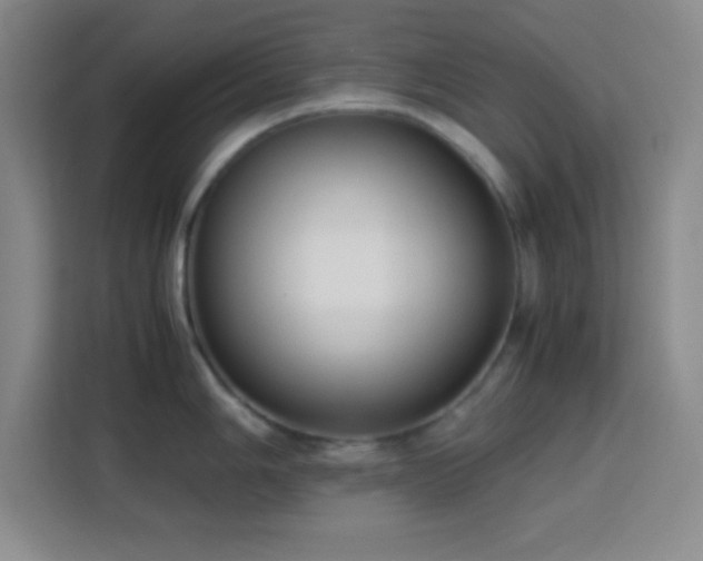 X0000113751006200909301028