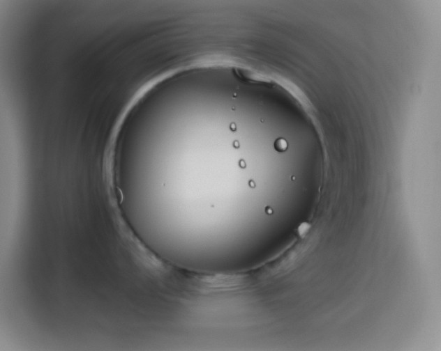 X0000113751008200909301028