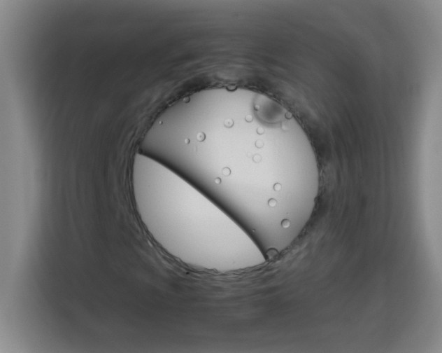 X0000113751009200909301027
