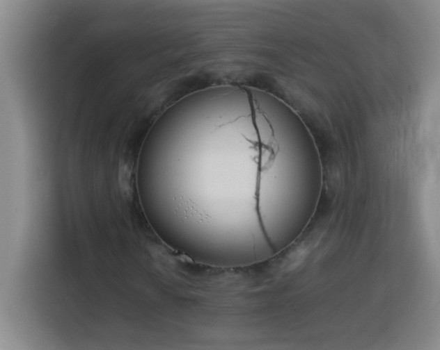 X0000113751010200909301027