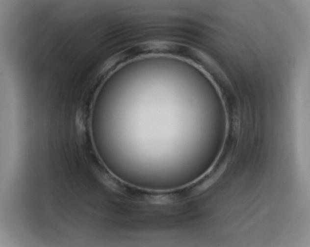 X0000113751017200909301027