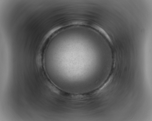 X0000113751019200909301027