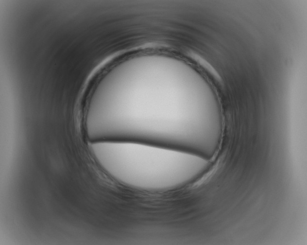 X0000113751021200909301027