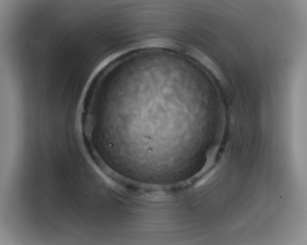 X0000113751024200909301027