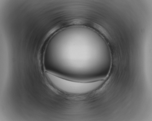 X0000113751026200909301027