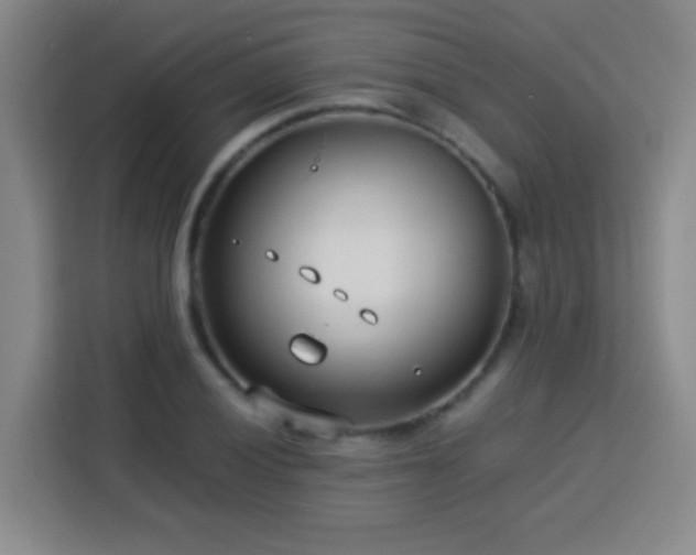 X0000113751028200909301027