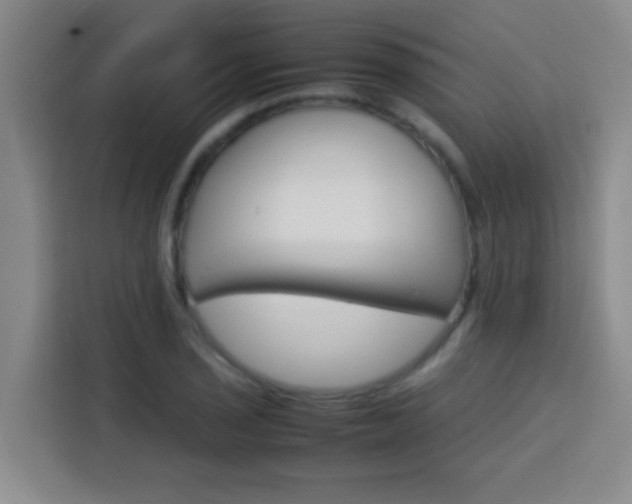 X0000113751029200909301027