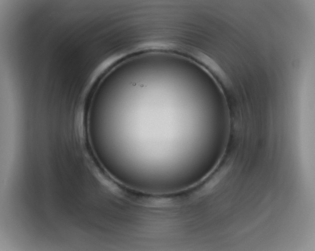 X0000113751030200909301027