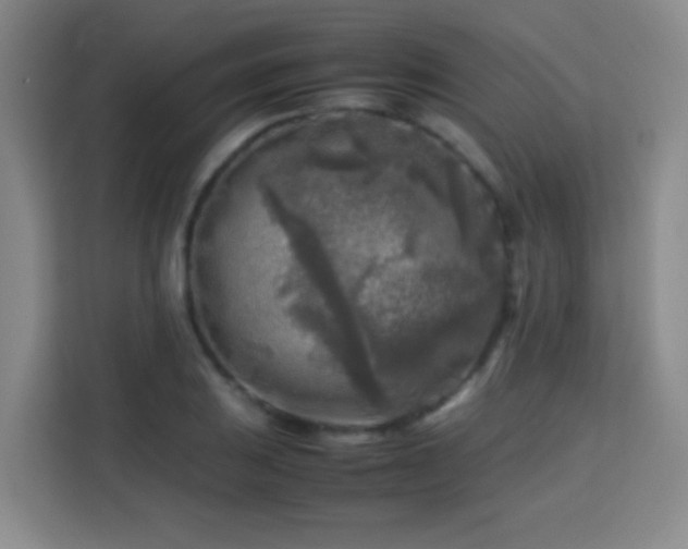 X0000113751031200909301027