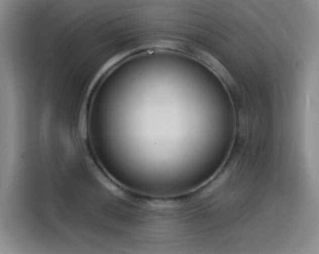 X0000113751036200909301028