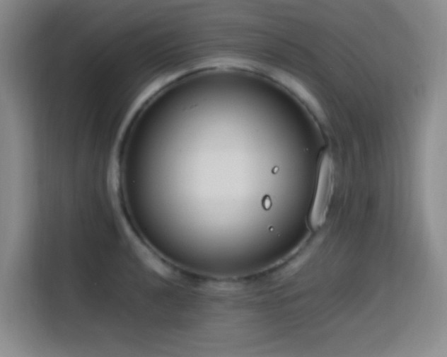 X0000113751040200909301028