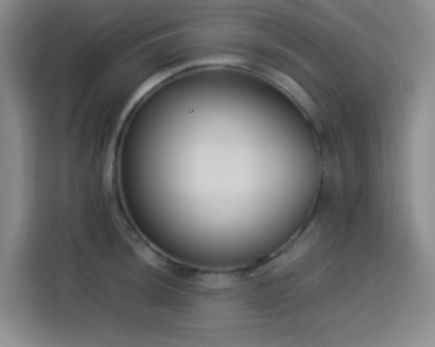 X0000113751044200909301028
