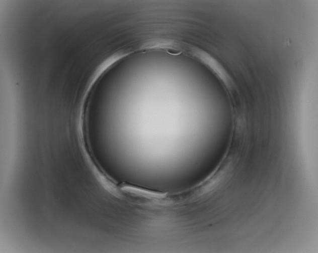 X0000113751050200909301028