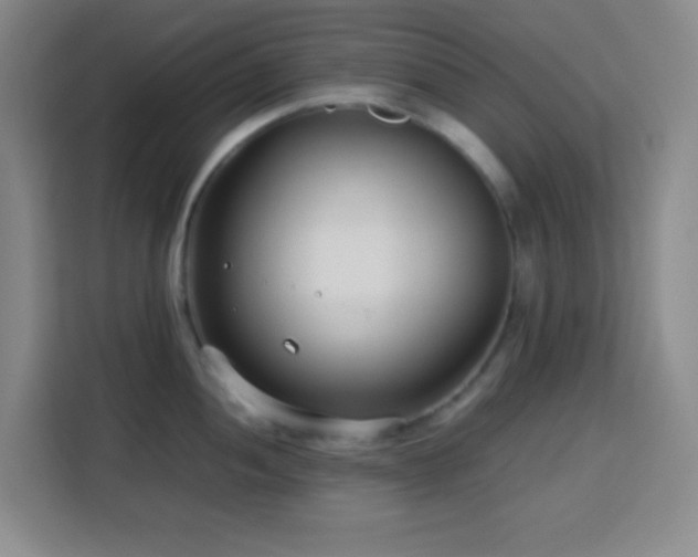 X0000113751052200909301028