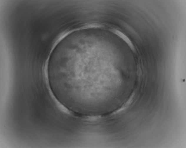 X0000113751055200909301028