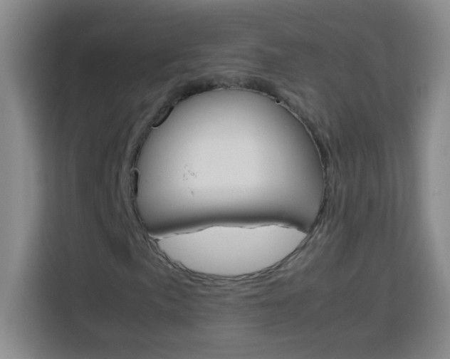 X0000113751057200909301027