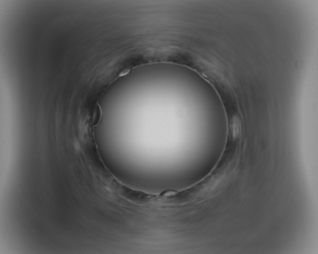 X0000113751059200909301027