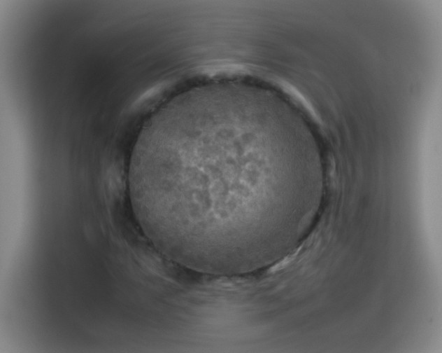 X0000113751063200909301027