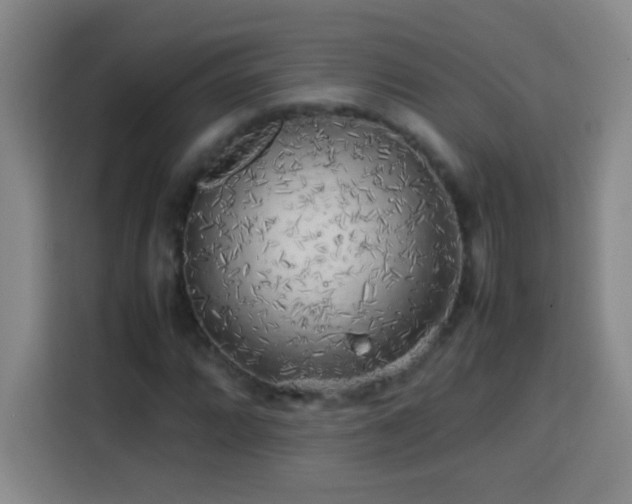 X0000113751064200909301027