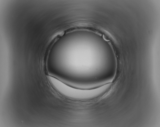 X0000113751065200909301027