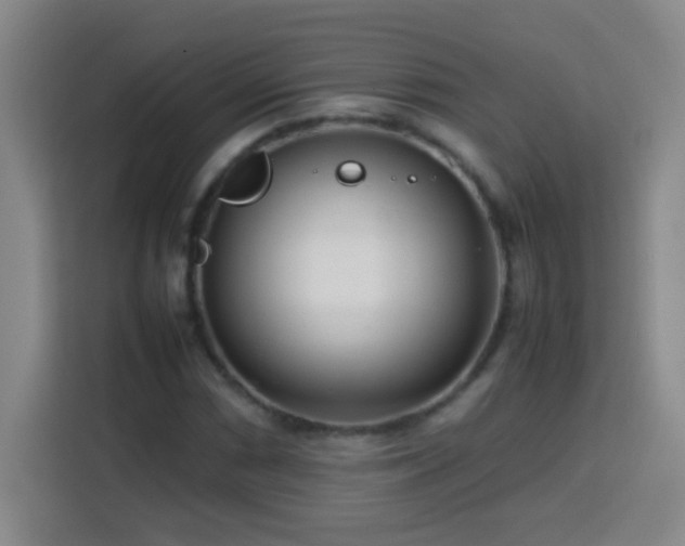 X0000113751066200909301027