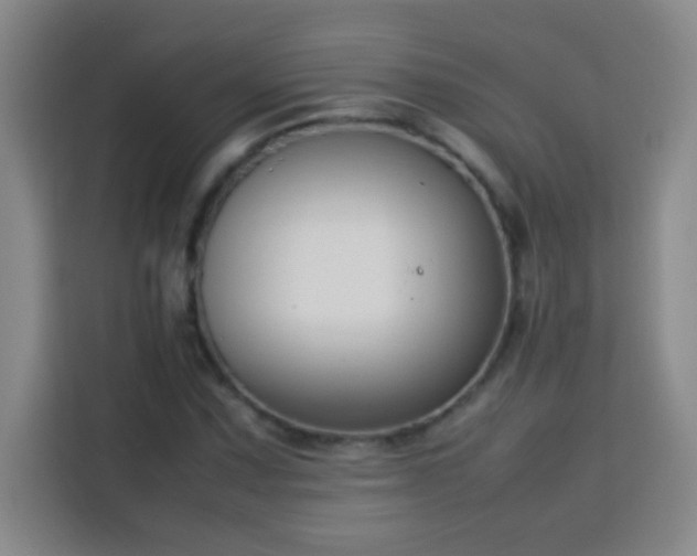 X0000113751067200909301027