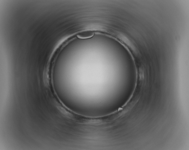 X0000113751068200909301027