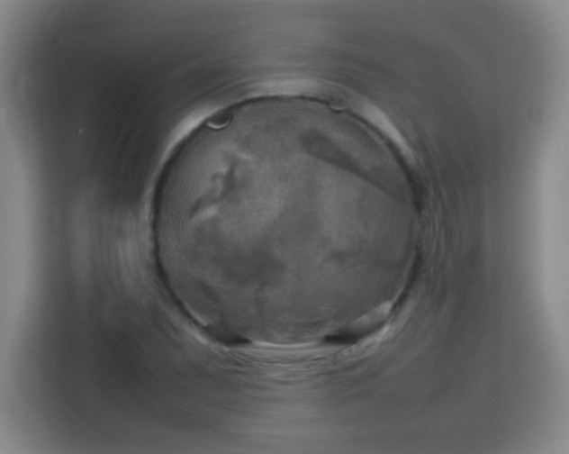 X0000113751071200909301027