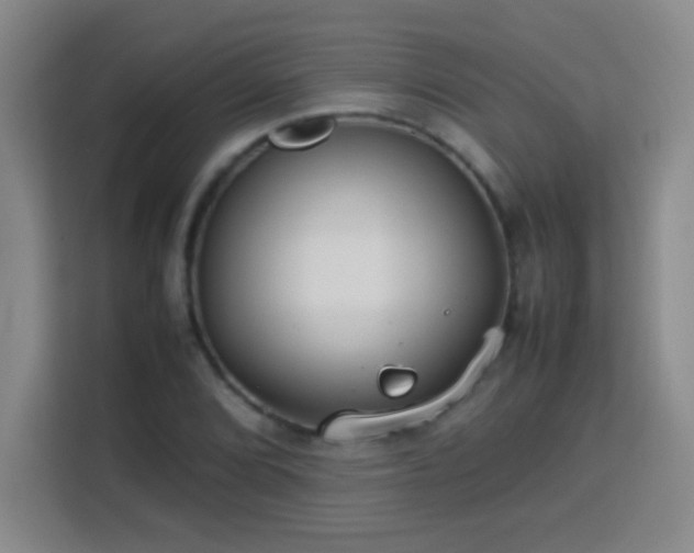X0000113751072200909301027