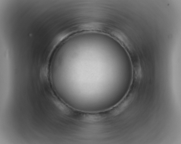 X0000113751074200909301027