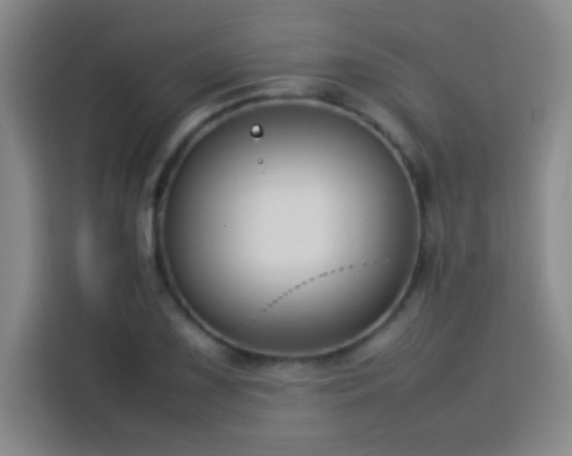 X0000113751075200909301027
